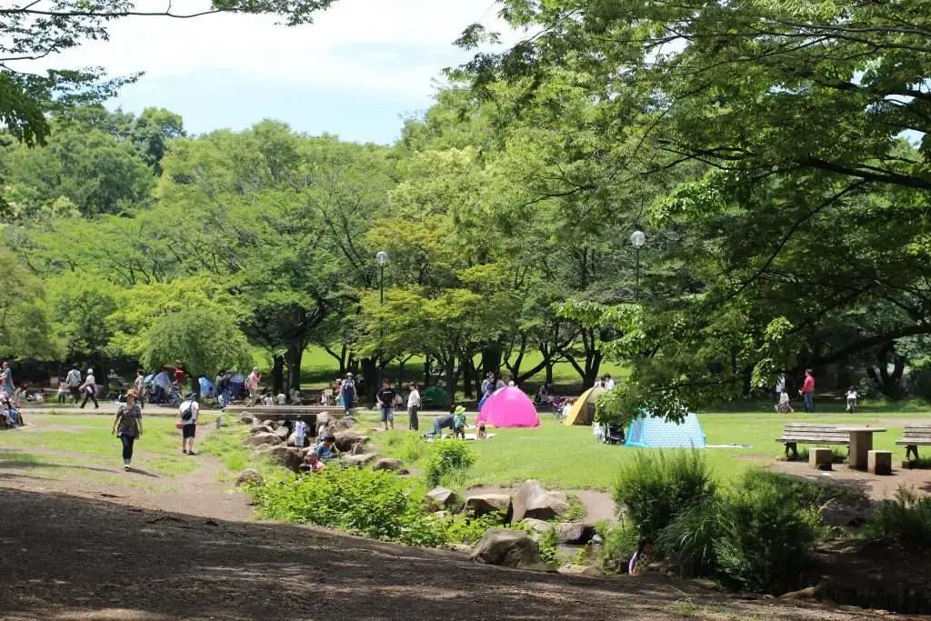 ✈️ 도코로자와 항공기념공원 이미지 4